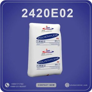 2420 E02
