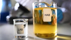 آلکیل بنزن سنگین (HAB)